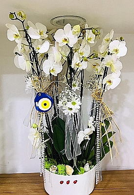 8 Dal Beyaz Orkide Aranjmanı